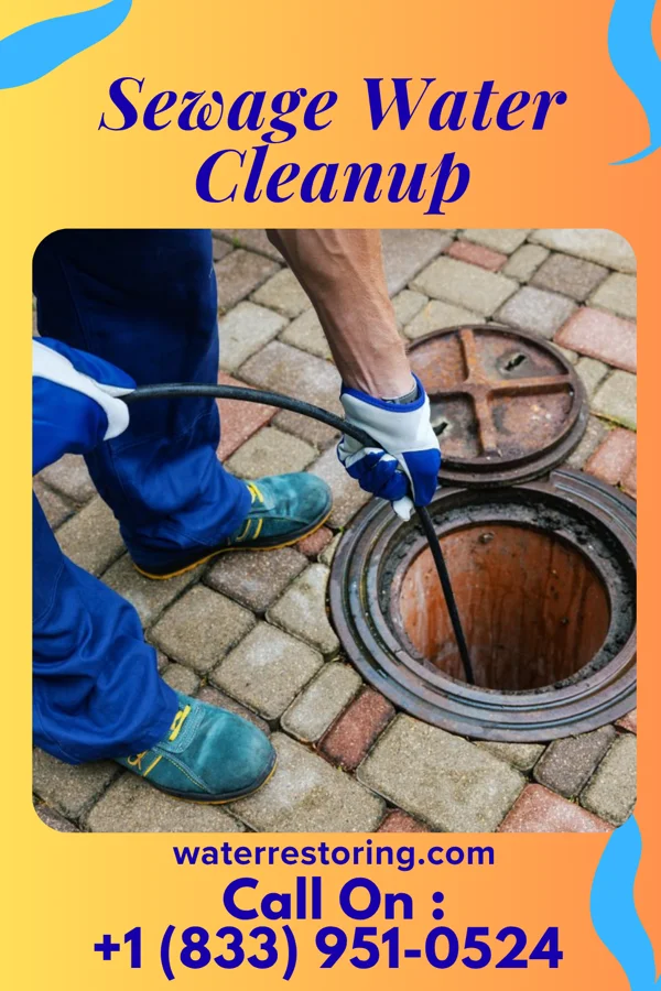 Sewage Water Cleanup in Tse Bonito, NM
